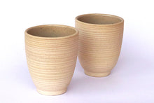 Sand & Fog Stoneware Kullad (Set of 2)